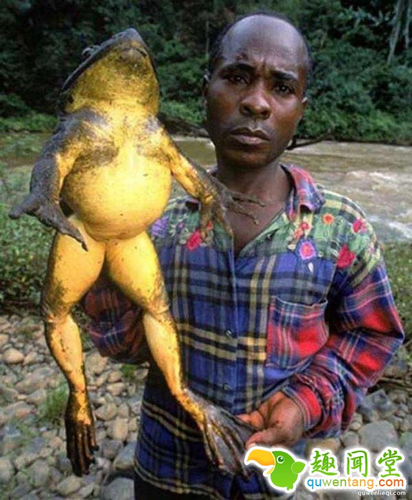 直击全球罕见的14种大“怪物”