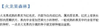 水果核不要丢啦，让你不花一分钱还有漂亮