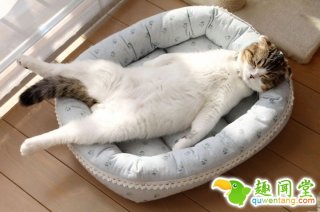 砧板菜刀保养小技巧，你知道自己默默吃下