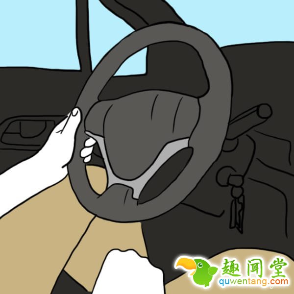 只要告诉我们你「握方向盘的方式」是这10种中的哪一种，我们就能知道你是个怎样的人！