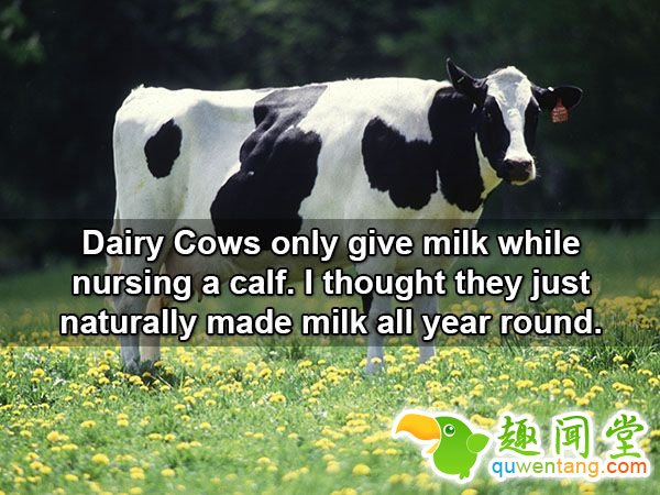 18个会让「你瞬间发现之前都笨笨」的新奇生活小知识！