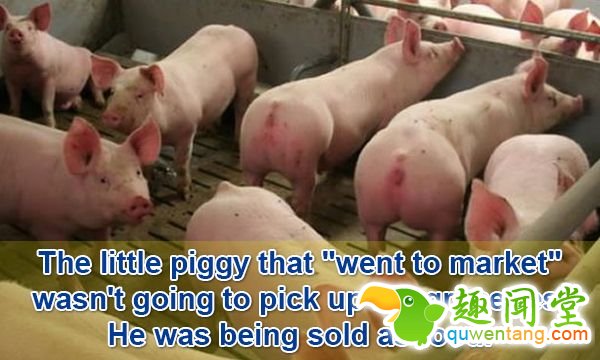 18个会让「你瞬间发现之前都笨笨」的新奇生活小知识！