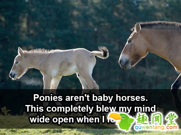 18个会让「你瞬间发现之前都笨笨」的新奇生活小知识！