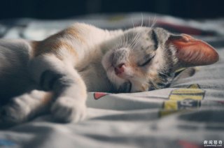 你笨是因为睡太少！睡眠不足的后果比你想