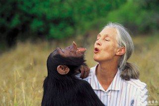 黑猩猩妈咪讲了一个笑话，两只小宝宝听后