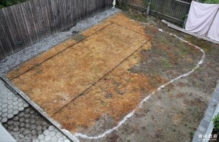 他们家后院这座游泳池看起来很普通，但水