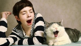 打哈欠为什么会这么容易传染呢？原来是这