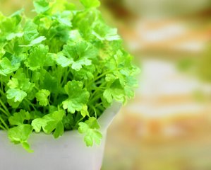 不会吧！男性吃香菜多了会杀精？真是这样