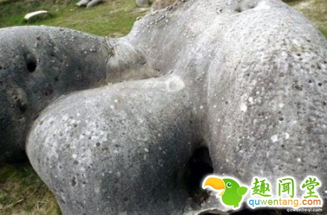 国外石头也疯狂，见水疯长上千倍