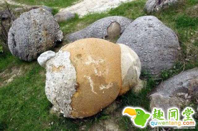 国外石头也疯狂，见水疯长上千倍