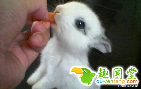 盛传世界的20个谎言，中国人竟被骗了上千年！