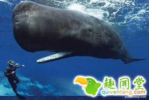 全世界最糟糕的8种工作，看到第一个就想吐了！