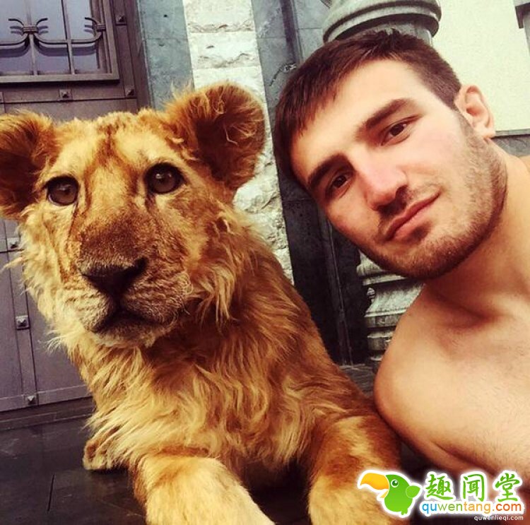 摔跤手找不到训练对象，于是养了只狮子当对手