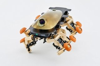 这个奇葩的八脚机器人是未来的交通工具