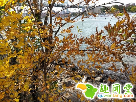 你造吗，华为造出了最好的 Android 手机？！