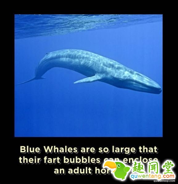 15个让你瞬间觉得自己是外星人的「吓死人地球冷知识」。#11英文也有象形文字!