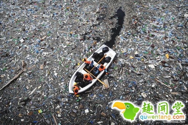 不开玩笑！科学家发现这虫子竟能拯救环境