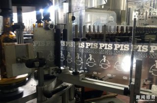 循环再酿！丹麦音乐节收集乐迷的尿液　制