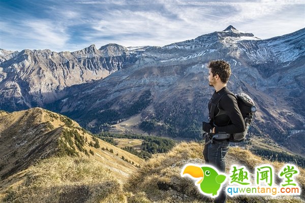 图中竟然藏了一条蛇：网友找疯了