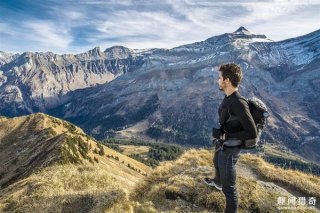 这张图中竟藏有一条爬行动物，网友找疯了