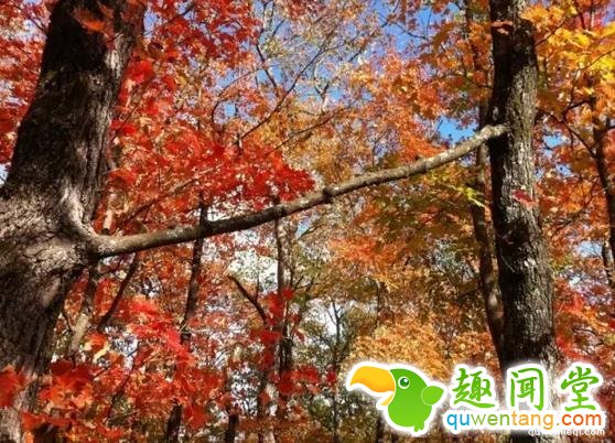 这些图片，看过2张以上算你牛逼！