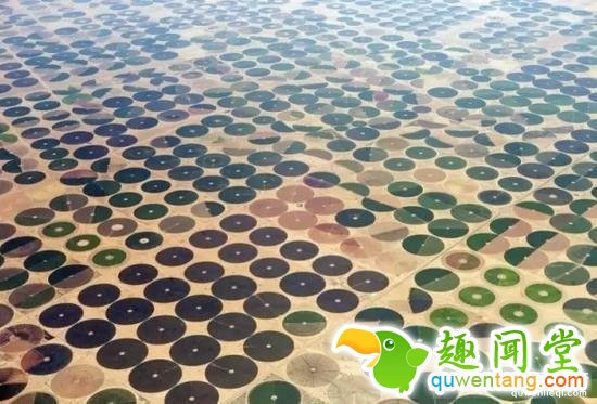 这些图片，看过2张以上算你牛逼！