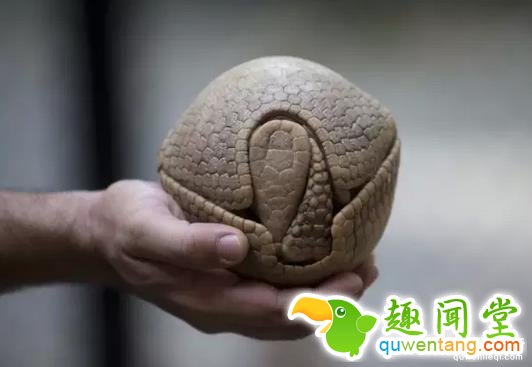 这些图片，看过2张以上算你牛逼！