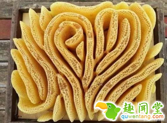 这些图片，看过2张以上算你牛逼！