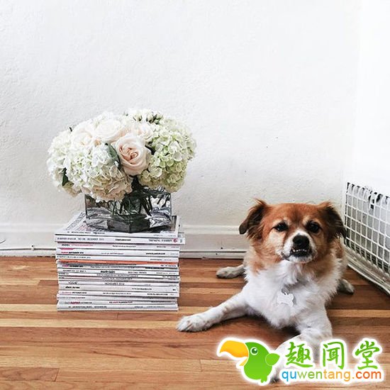 摒弃老套的自拍+v字手，看别人如何心机晒照片！