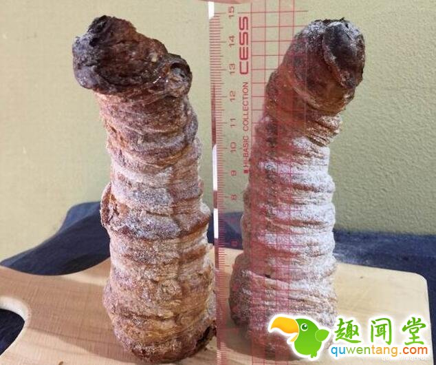 造型极具冲击力的螺旋面包