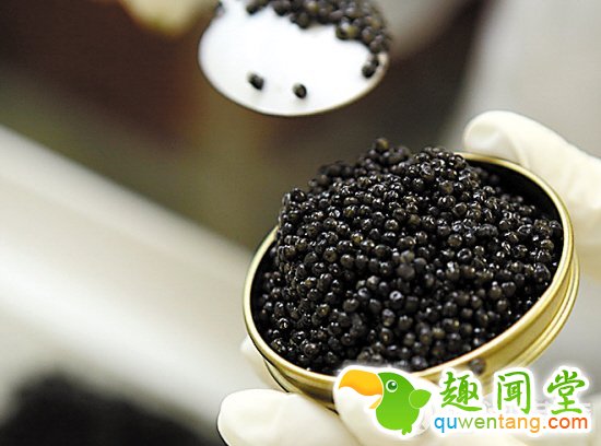 谨慎！这10种外国美食中国胃是装不下的