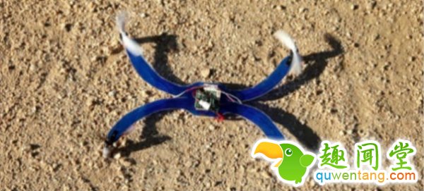 [v]腕带起飞，拍照，返回