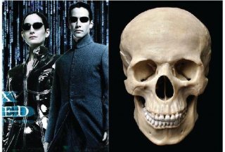 9条你可能还不知道的重要定律