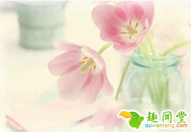 撑不住的时候，可以对自己说声:“我好累”，但永远不要在心里承认说:“我不行” - 每天十句话,经典语录,人生感悟,情感语录,心灵鸡汤