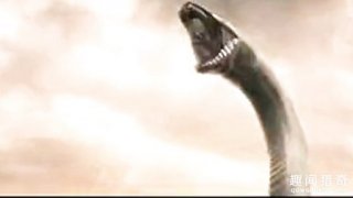 雷峰塔为什么会倒塌？里面真的埋有白蛇黄