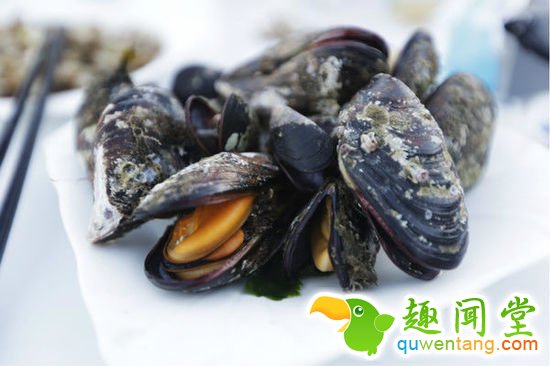 秋天吃海鲜去哪里，来一场为了吃的旅行！