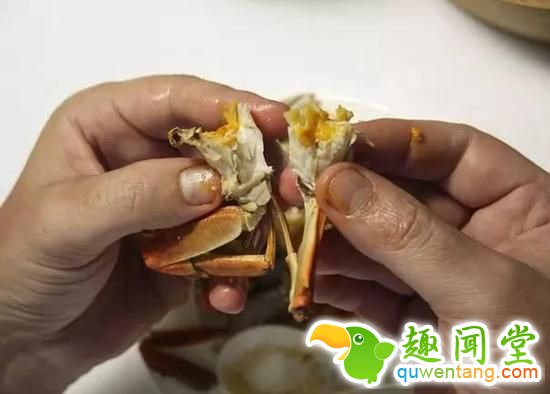如何优雅地吃掉一只螃蟹？