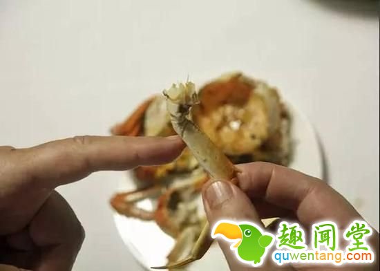 如何优雅地吃掉一只螃蟹？