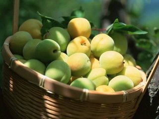 十大名著里的10种美味佳肴