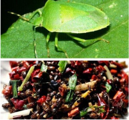 贵州重口味美食排行榜 奇葩的不只是“牛