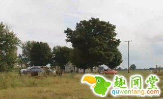 中间2只眼睛连一起！美一农场发现超怪异