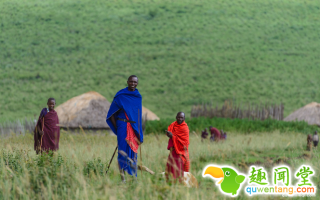 这些男人的妻子是用牲畜换来的，妻子的多