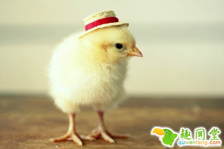 别忽略这些蓝领职业，他们可能是你收入的十几倍！