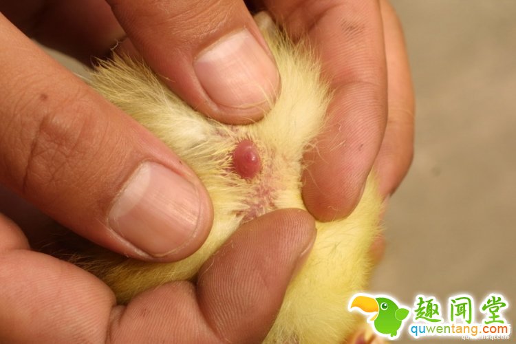 别忽略这些蓝领职业，他们可能是你收入的十几倍！