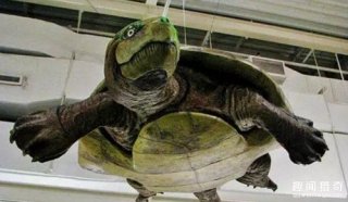 恐龙都敢吃？盘点那些曾经真实存在的逆天