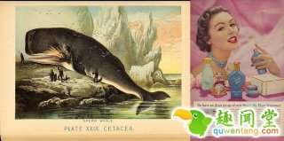 看过这些化妆品的真相 你才知道女人有多