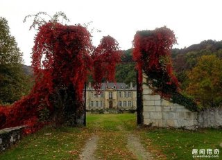 澳洲夫妻网上买下法国荒废古堡，竟发现神