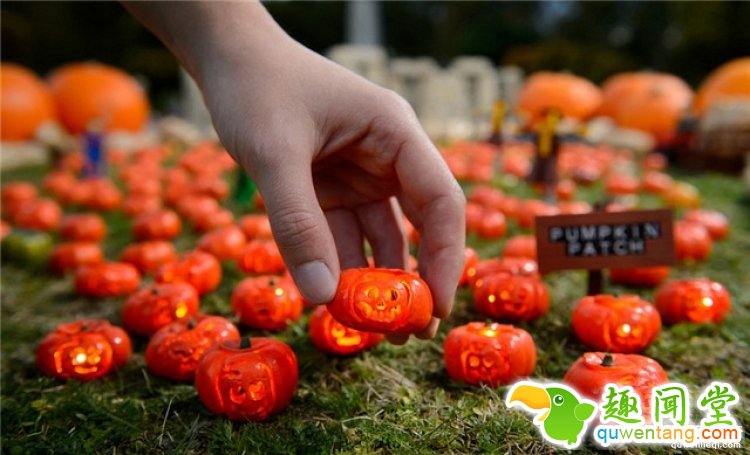 英国展出世界上最小的南瓜灯，超萌超mini