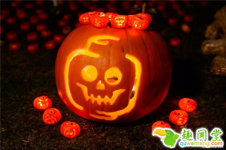 英国展出世界上最小的南瓜灯，超萌超mini
