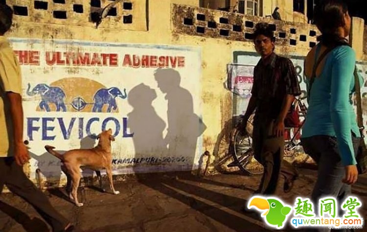 所谓的天时地利人和，说的就是这些照片